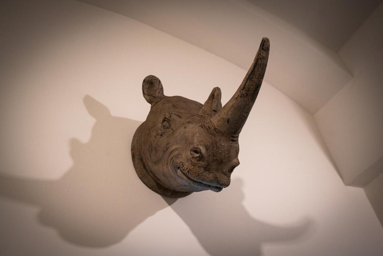 Rhino Studios Ljubljana Luaran gambar